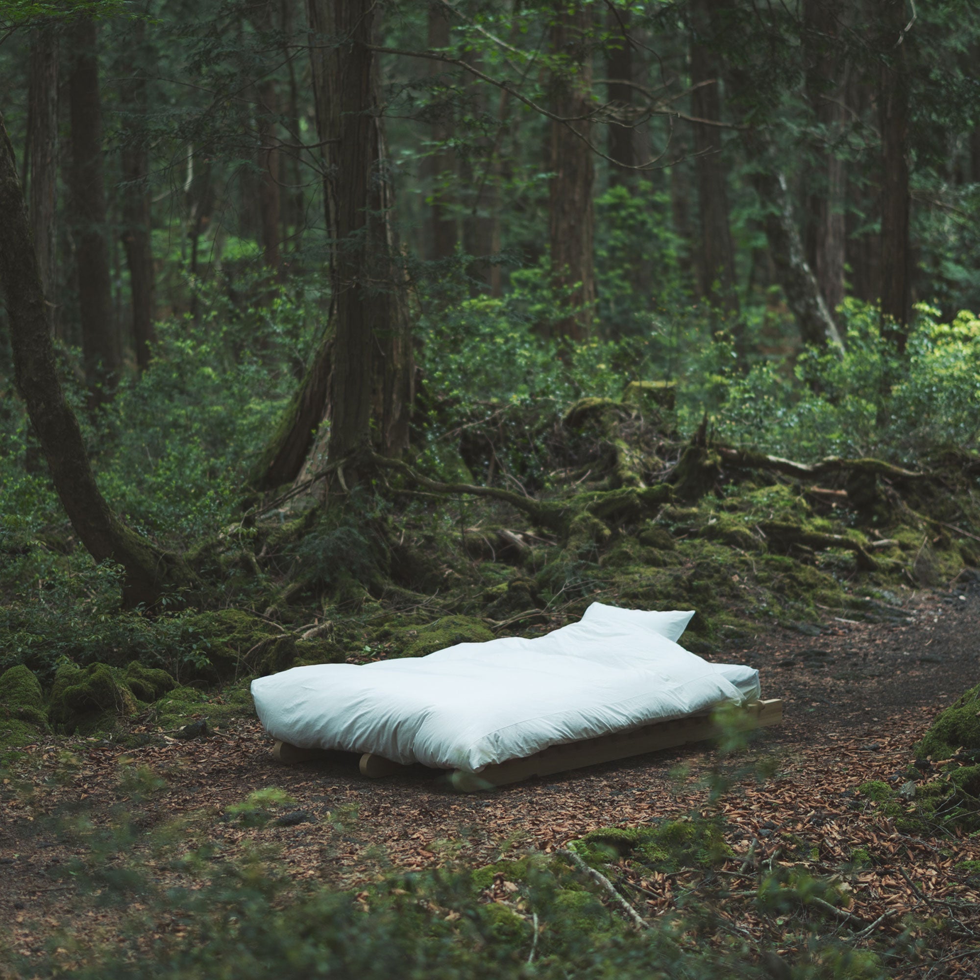 Bedding